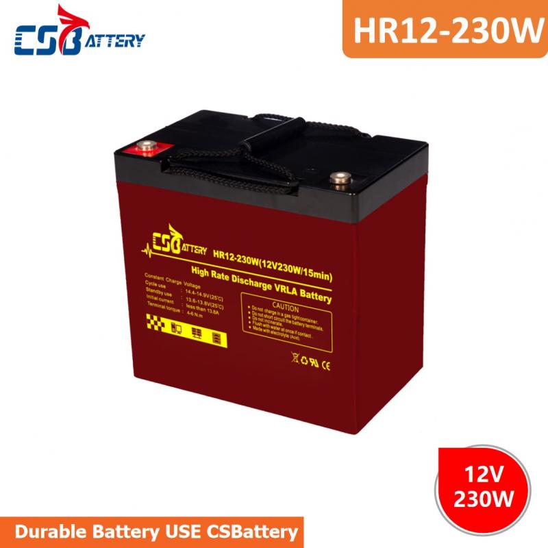 High Discharge Rate UPS Battery