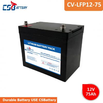 LifePO4 Pack Replace SLA Battery