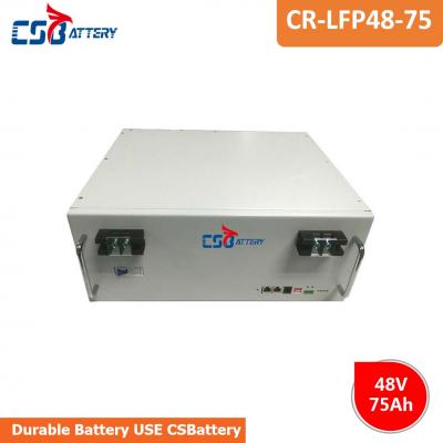 LifePO4 Batteries supplier