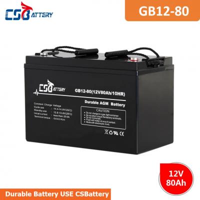 6V 12V Long Life AGM VRLA Battery