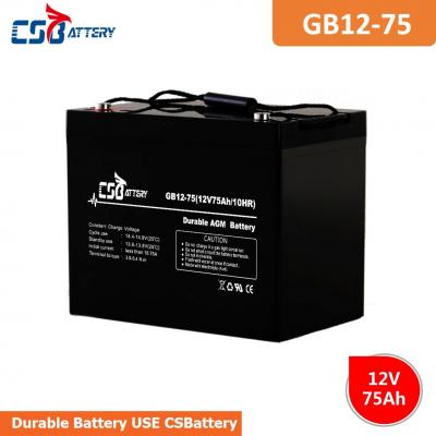 6V 12V Long Life AGM VRLA Battery