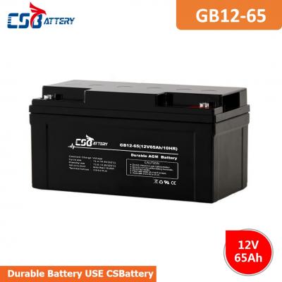 6V 12V Long Life AGM VRLA Battery