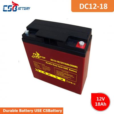 Long Life Deep Cycle AGM Battery