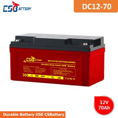 Long Life Deep Cycle AGM Battery