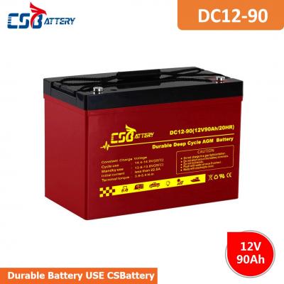 Long Life Deep Cycle AGM Battery