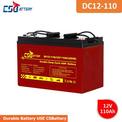 Long Life Deep Cycle AGM Battery