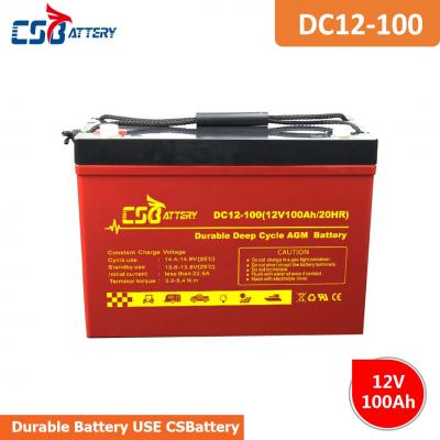 Long Life Deep Cycle AGM Battery