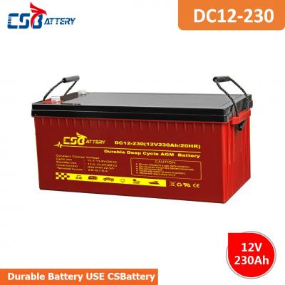 Long Life Deep Cycle AGM Battery