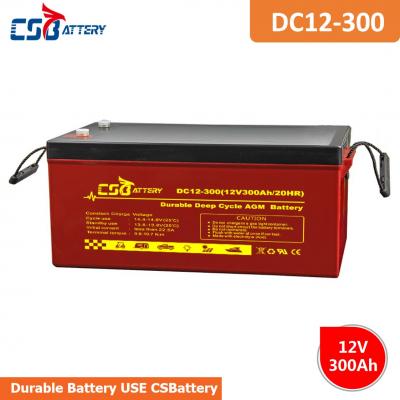 Long Life Deep Cycle AGM Battery