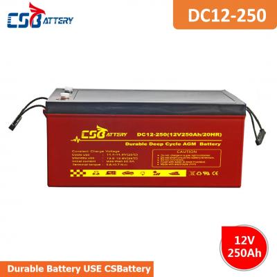 Long Life Deep Cycle AGM Battery